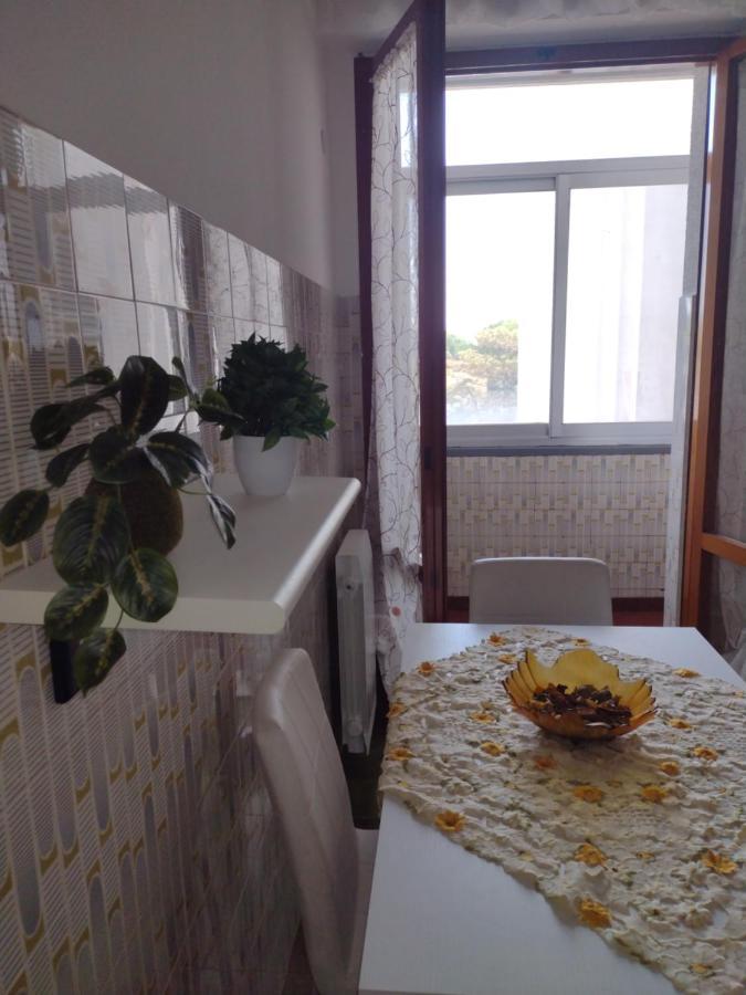 B&B L'Orchidea 피사 외부 사진
