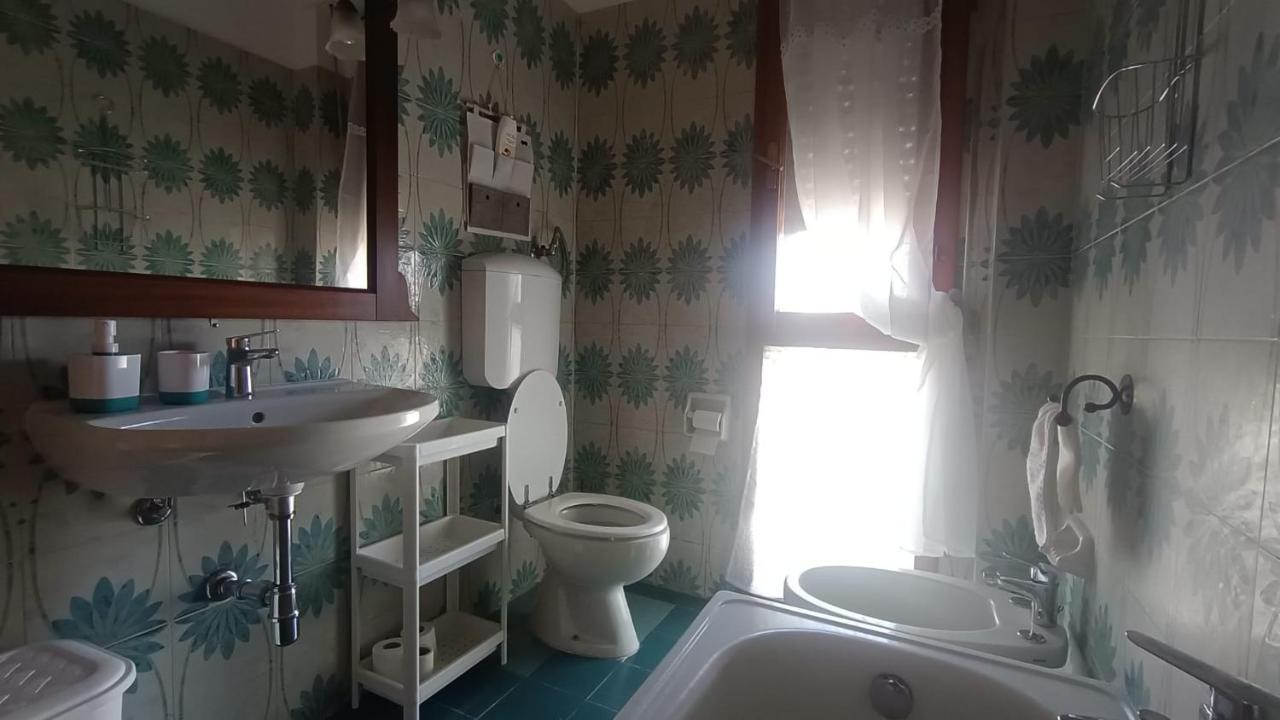 B&B L'Orchidea 피사 외부 사진